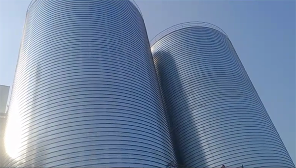 青湖路街道2座混凝土高架卷板仓