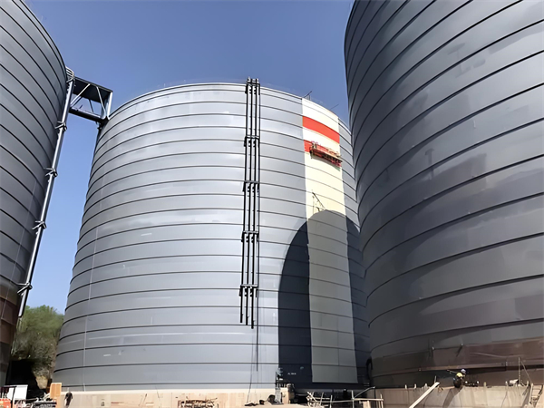 青湖路街道焦粉仓